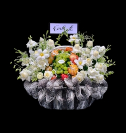 Giỏ trái cây 10