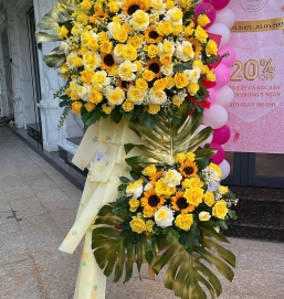 Hoa khai trương 12 vàng cam