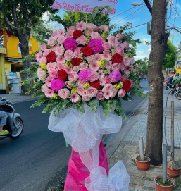 Hoa khai trương 16 Hồng xinh