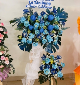 Hoa khai trương 7 Xanh dương 