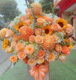 Sản phẩm 49