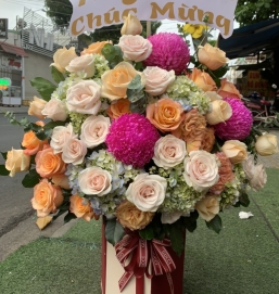 sản phẩm 50