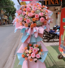 SẢN PHẨM 16