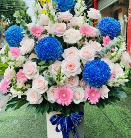 sản phẩm 51