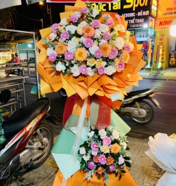 SẢN PHẨM 17