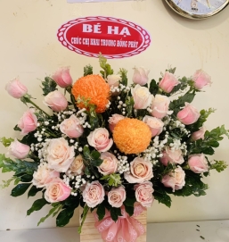sản phẩm 53
