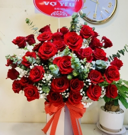 sản phẩm 56