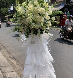 SẢN PHẨM 22