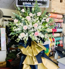 SẢN PHẨM 23