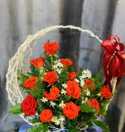 sản phẩm 2 