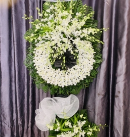 SẢN PHẨM 24