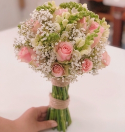sản phẩm 34