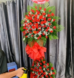 SẢN PHẨM 10