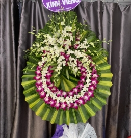 SẢN PHẨM 25