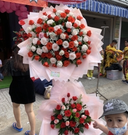 SẢN PHẨM 11