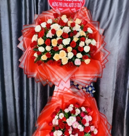 SẢN PHẨM 12