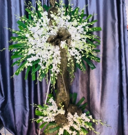 SẢN PHẨM 27