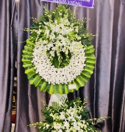 SẢN PHẨM 28