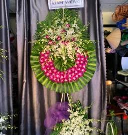 SẢN PHẨM 29