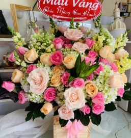 sản phẩm 4