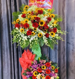 SẢN PHẨM 13