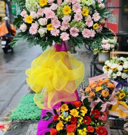 SẢN PHẨM 14