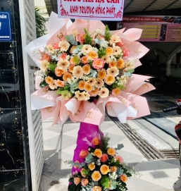 SẢN PHẨM 15