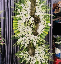 SẢN PHẨM 30