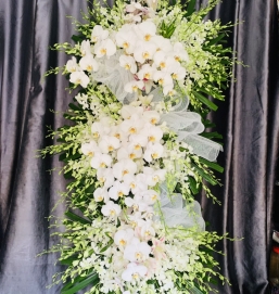 SẢN PHẨM 31