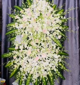 SẢN PHẨM 32