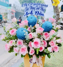 sản phẩm 65