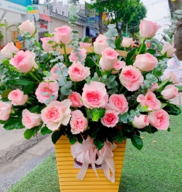 sản phẩm 63