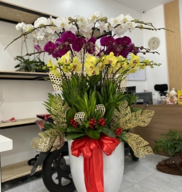 sản phẩm 83
