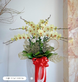 sản phẩm 79