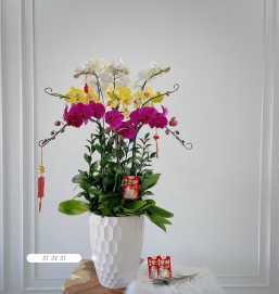 sản phẩm 78