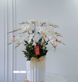 sản phẩm 76
