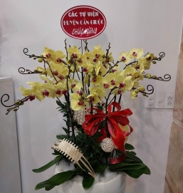 sản phẩm 73