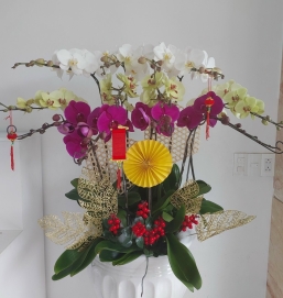 sản phẩm 71