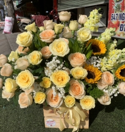 sản phẩm 88