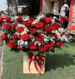 sản phẩm 90