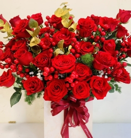 sản phẩm 95
