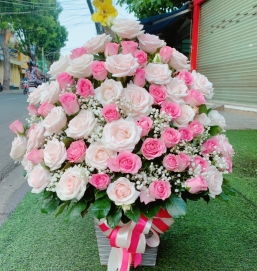 sản phẩm 97
