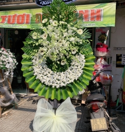 Hoa Tang 2