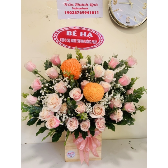 sản phẩm 53