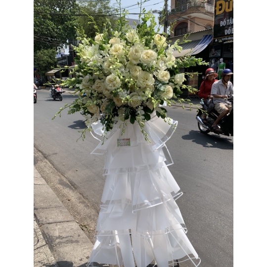 SẢN PHẨM 22