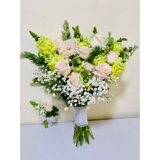 sản phẩm 33