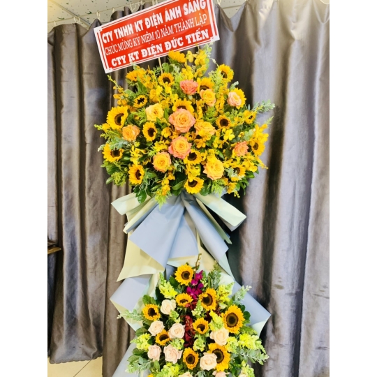 SẢN PHẨM 20