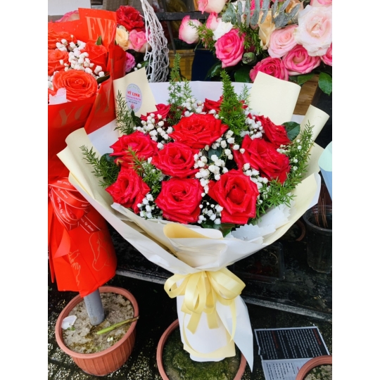 SẢN PHẨM 6