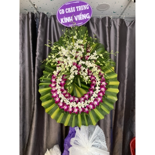 SẢN PHẨM 25
