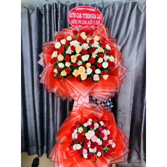 SẢN PHẨM 12